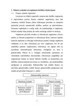 Referāts 'Finanšu pārskats uzņēmumā', 3.