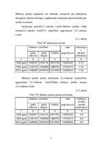 Referāts 'Finanšu pārskats uzņēmumā', 21.