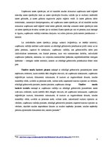 Konspekts 'Uzkrājumi un kases operācijas', 4.