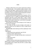 Referāts 'Mārketinga elementu izvērtējums rūpniecības preču veikalā "Tik Tak"', 3.