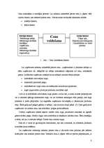 Referāts 'Mārketinga elementu izvērtējums rūpniecības preču veikalā "Tik Tak"', 9.