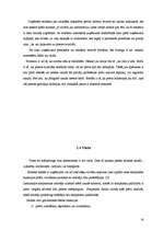 Referāts 'Mārketinga elementu izvērtējums rūpniecības preču veikalā "Tik Tak"', 14.