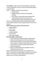 Konspekts 'Politika, tās saturs un būtība', 2.