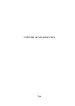 Referāts 'Izlīgums kriminālprocesā', 1.