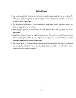 Prakses atskaite 'Sabiedrisko attiecību prakse transporta un loģistikas uzņēmumā', 11.