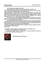 Referāts 'Ādolfs Hitlers un nacistiskā Vācija', 2.