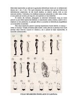 Konspekts 'Stājas nepareizības un to korekcija', 2.