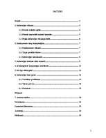 Referāts 'Elektroniskās izklaides industrija - videospēļu bizness', 2.