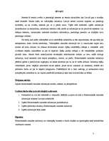 Referāts 'Elektroniskās izklaides industrija - videospēļu bizness', 3.