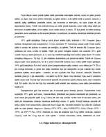 Referāts 'Elektroniskās izklaides industrija - videospēļu bizness', 5.