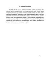 Referāts 'Elektroniskās izklaides industrija - videospēļu bizness', 8.