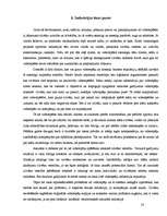 Referāts 'Elektroniskās izklaides industrija - videospēļu bizness', 14.