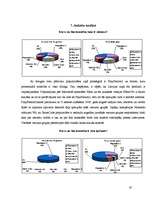 Referāts 'Elektroniskās izklaides industrija - videospēļu bizness', 19.
