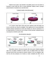 Referāts 'Elektroniskās izklaides industrija - videospēļu bizness', 20.