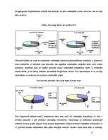 Referāts 'Elektroniskās izklaides industrija - videospēļu bizness', 21.