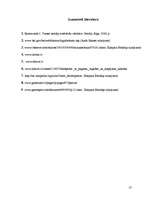 Referāts 'Elektroniskās izklaides industrija - videospēļu bizness', 25.