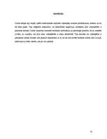 Referāts 'Elektroniskās izklaides industrija - videospēļu bizness', 26.