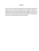 Referāts 'Elektroniskās izklaides industrija - videospēļu bizness', 27.