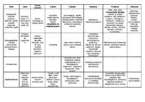 Konspekts 'Valodas stilu klasifikācija', 2.