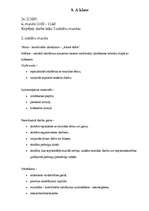 Konspekts 'Stundu plāni vizuālajā mākslā', 8.