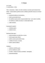 Konspekts 'Stundu plāni vizuālajā mākslā', 14.