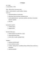 Konspekts 'Stundu plāni vizuālajā mākslā', 15.