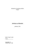 Paraugs 'Personāllietvedība', 32.