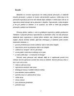 Referāts 'Organizāciju vadīšana pārmaiņu apstākļos', 3.