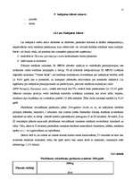 Biznesa plāns 'Kafejnīcas izveides biznesa plāns', 15.