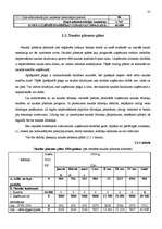 Biznesa plāns 'Kafejnīcas izveides biznesa plāns', 25.