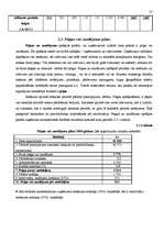 Biznesa plāns 'Kafejnīcas izveides biznesa plāns', 27.