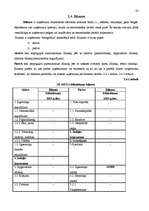 Biznesa plāns 'Kafejnīcas izveides biznesa plāns', 28.