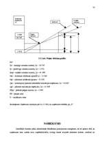 Biznesa plāns 'Kafejnīcas izveides biznesa plāns', 32.
