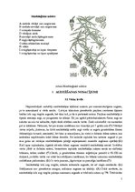 Referāts 'Smiltsērkšķi', 7.
