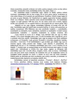 Referāts 'Smiltsērkšķi', 16.