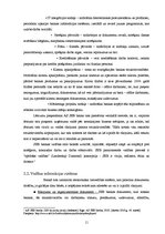 Prakses atskaite 'A/s "SEB Banka"', 11.