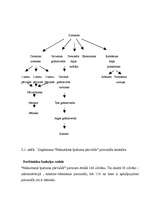 Referāts 'Personāla vadīšanas politika uzņēmumā', 23.