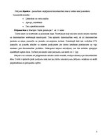 Referāts 'Datorlietošanas paradumi un atkarības riski pusaudžu un jauniešu vecumposmā', 6.
