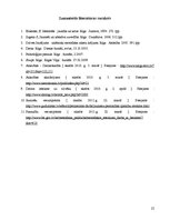 Referāts 'Datorlietošanas paradumi un atkarības riski pusaudžu un jauniešu vecumposmā', 25.