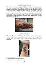 Prezentācija 'Tetovējumu izvēle un to simboliskā nozīme jauniešu sabiedrībā Latvijā', 19.