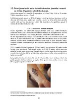 Prezentācija 'Tetovējumu izvēle un to simboliskā nozīme jauniešu sabiedrībā Latvijā', 28.