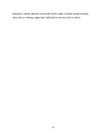 Referāts 'Olimpiskās spēles', 10.