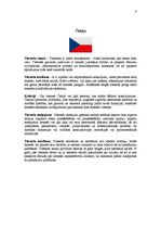 Referāts 'Tiesneša statuss dažādās pasaules valstīs', 4.