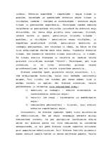 Referāts 'Platona mācība par valsti', 8.