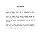 Referāts 'Platona mācība par valsti', 13.