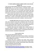 Referāts 'Tiesību normas jēdziens un pamatpazīmes', 13.