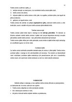 Referāts 'Tiesību normas jēdziens un pamatpazīmes', 16.