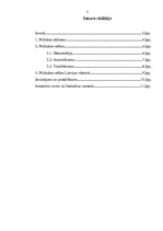 Referāts 'Politiskie režīmi', 2.