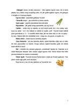 Referāts 'Taizemes virtuve', 6.