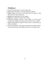 Prakses atskaite 'Prakses atskaite viesnīcā "Aquis Bella Beach"', 22.